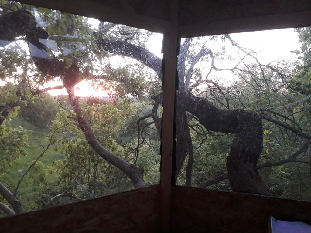 La Cabane insolite Cabane Perchée Chambre d'Hôtes Insolite Monès 31370 Haute Garonne