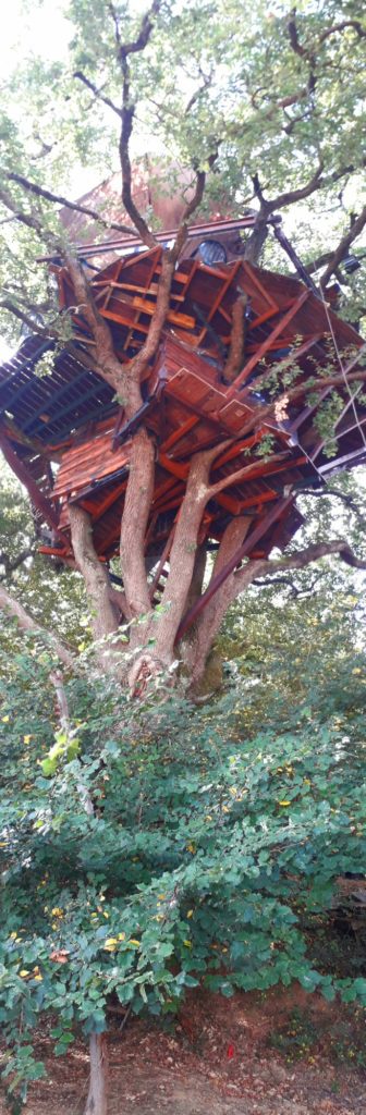 La Cabane insolite Cabane Perchée Chambre d'Hôtes Insolite Monès 31370 Haute Garonne